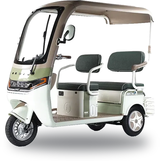 Exusia E-Keke City Pro, Tricycle
