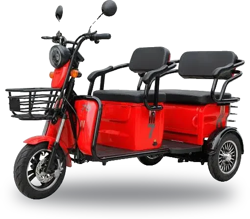 Speego Passenger Trike, Tricycle