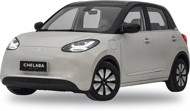 Wuling Bingo, Car